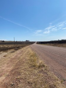 Picture of a dirt road with burned ground on both sides from a wildfire.