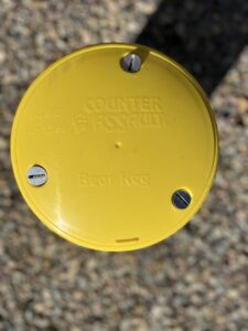 Yellow bear canister from the top.