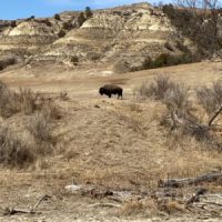Discover Theodore Roosevelt National Park: A Hidden&nbsp;Gem