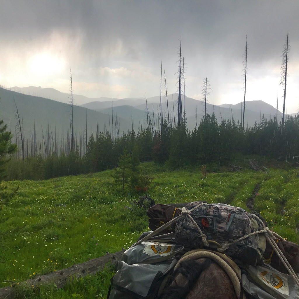 A dark thunderstorm rolls over the mountains in the Bob Marshall Wilderness. In the mid-ground is a stand of jack pine and a green meadow filled with wildflowers. In the foreground is the back of a pack horse loaded with gear. Save weight when horse packing as well.