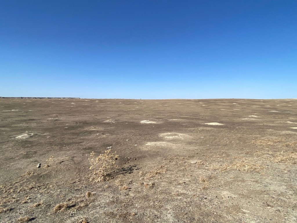 Prairie dog town in Theodore Roosevelt National Park's South Unit